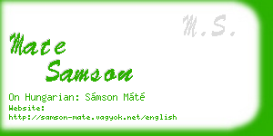 mate samson business card
